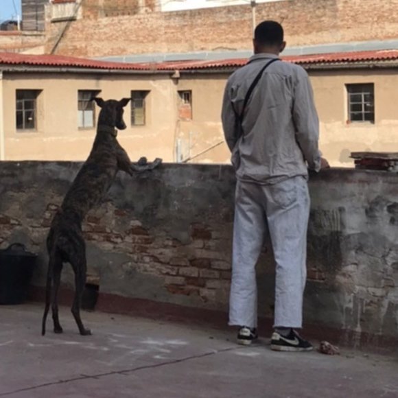 Meet your Posher, Samuel - Picture 1 of 1